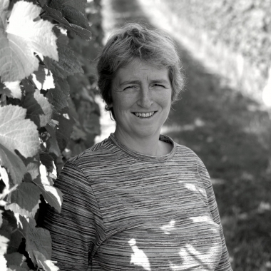 Domaine Bonnardot