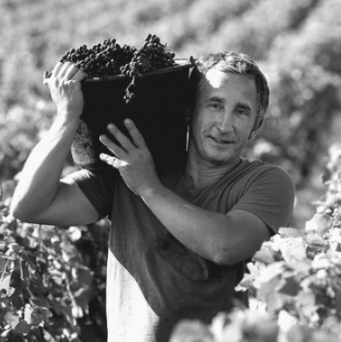 Domaine René Bouvier
